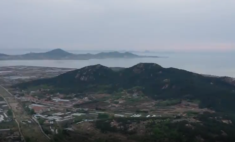 “馒头妈妈”有绝活，花饽饽蒸出致富经