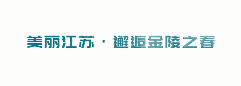 美丽江苏|姹紫嫣红都开遍 邂逅金陵春满园