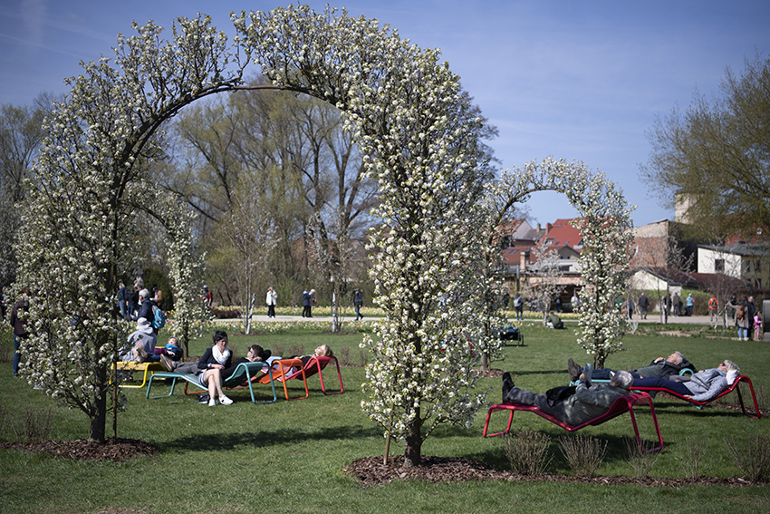 德国贝利茨举行国家花园展 游客享受花香与宁静
